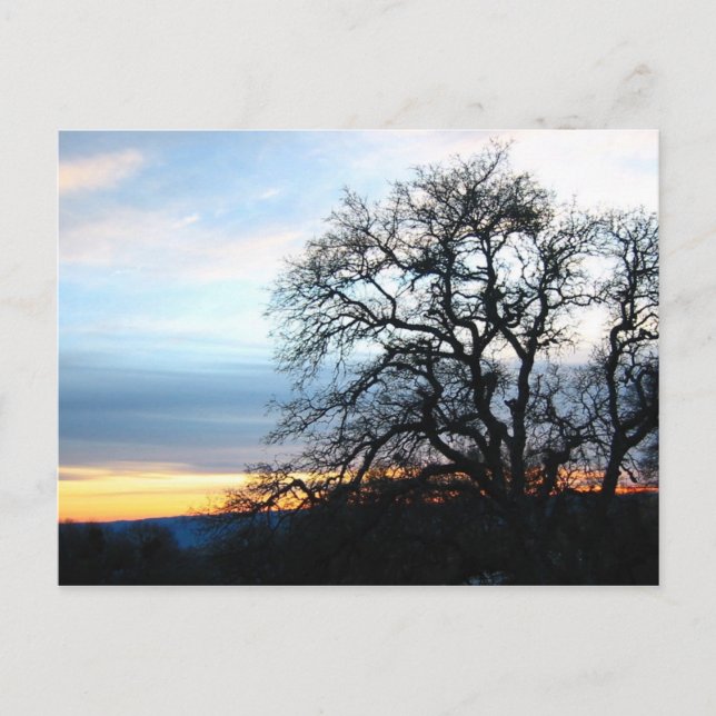 Kalifornien Vykort (Framsida)