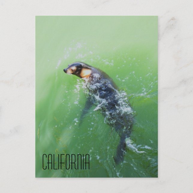 Kalifornien Vykort (Framsida)