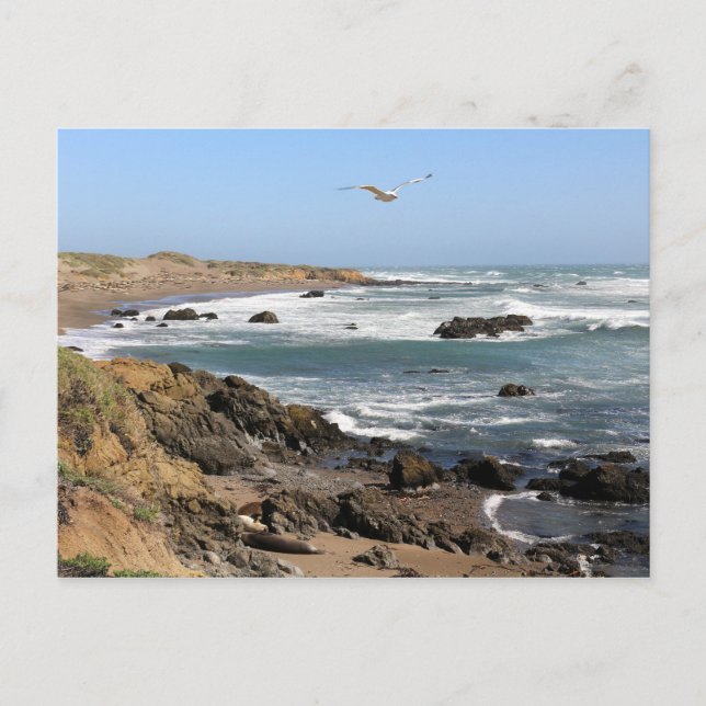 Kalifornien Vykort (Framsida)