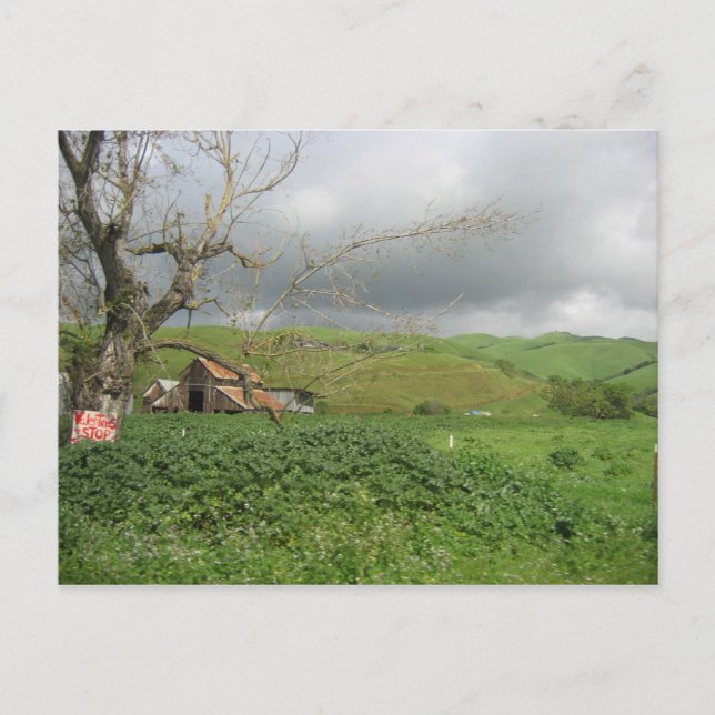 Kalifornien vykort - Gilroy, Kalifornien (Framsida)