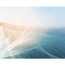 Kalifornien/walesiska poppies. Mors dag-gåva Tygkasse