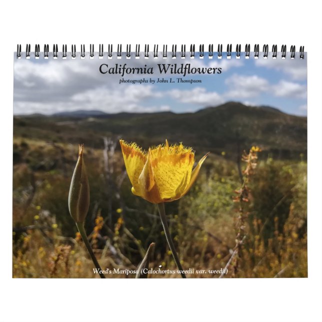 Kalifornien Wildblommor Kalender (Omslag)