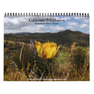 Kalifornien Wildblommor Kalender
