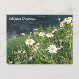 Kalifornien Wildblommor, La Jolla Cove Vykort