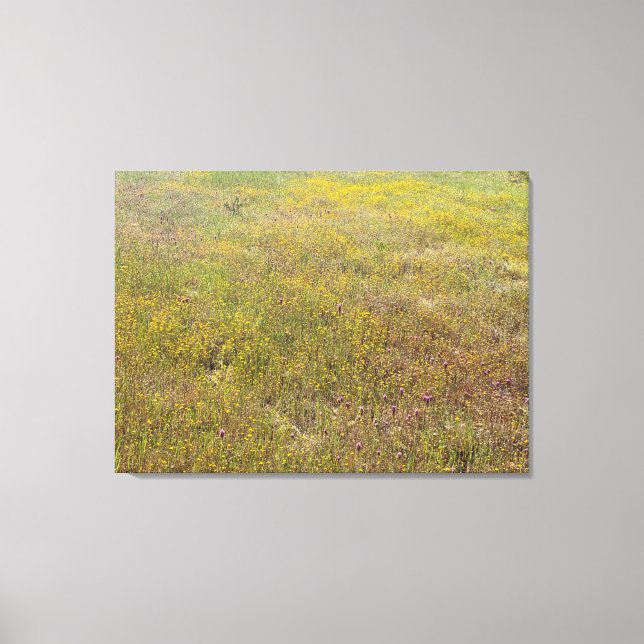 Kalifornien Wildblomsimpression Canvastryck (Framsida)