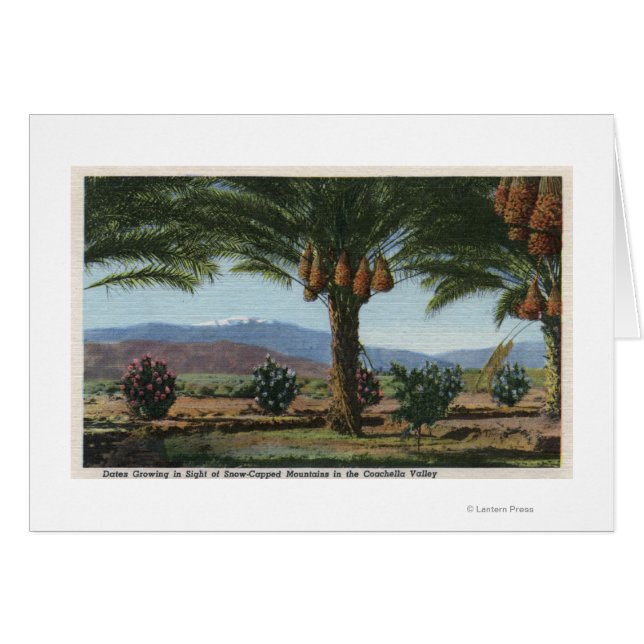 KalifornienDates Growing in the Coachella Hälsningskort (Framsidan Horizontal)
