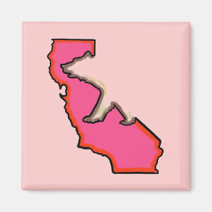Kaliforniens statssymbol rosa magnet