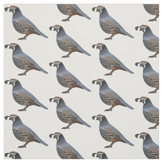 Kaliforniens tecknad av vaktelfågel tyg (Provkarta)