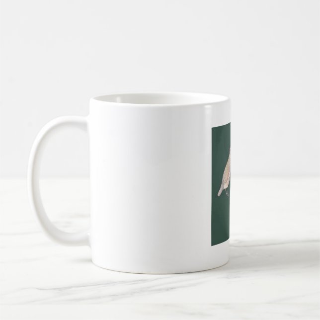 Kalifornientrast art för fågelarter kaffemugg (Vänster)