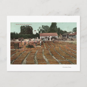 KalifornienView of Peacher Dshing i Sol Vykort