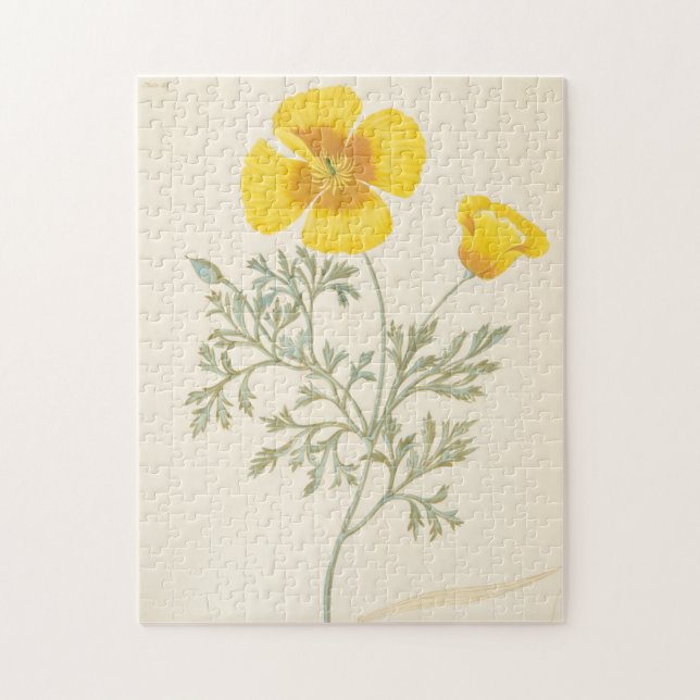 Kalifornisk Eschscholtzia Pussel (Vertikal)