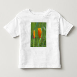 Kaliforniska gyllene vallmo i en grön äng t shirt