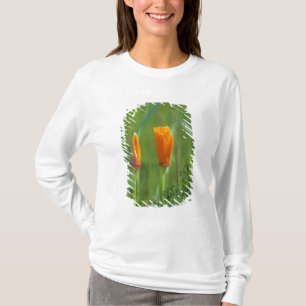 Kaliforniska gyllene vallmo i en grön äng t shirt