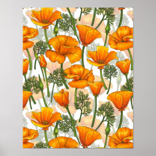 Kaliforniska poppies poster
