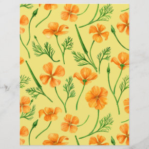 kaliforniska vallmo, sommartid blommor, orange wil