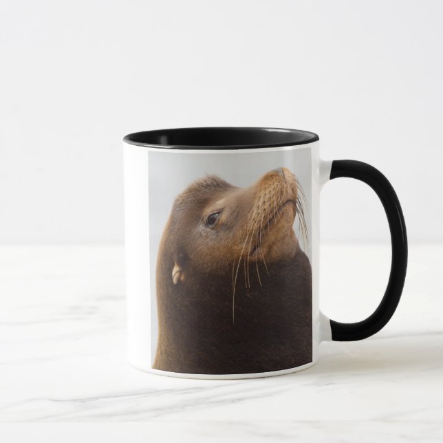 Kaliforniskt sjölejon mugg (Höger)