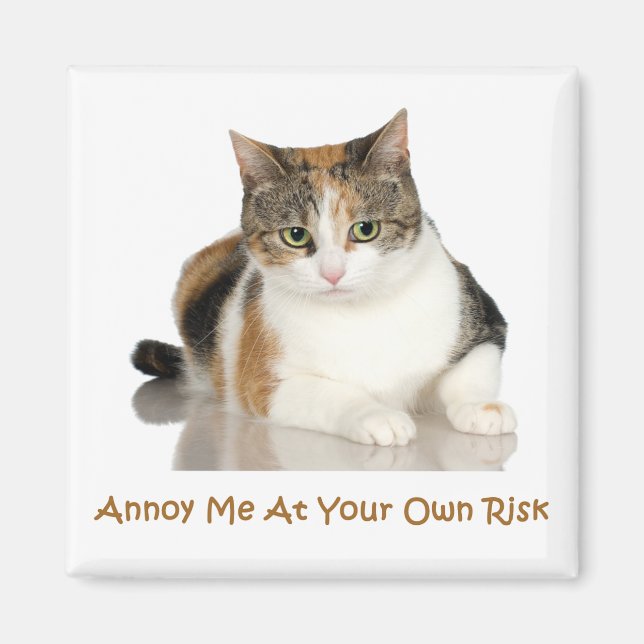 Kalikokatt: Annoy Me vid din egen risk Magnet (Framsidan)