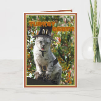 KALKON IGEN? Pilgrims-Katten på Thanksgiving Helgkort