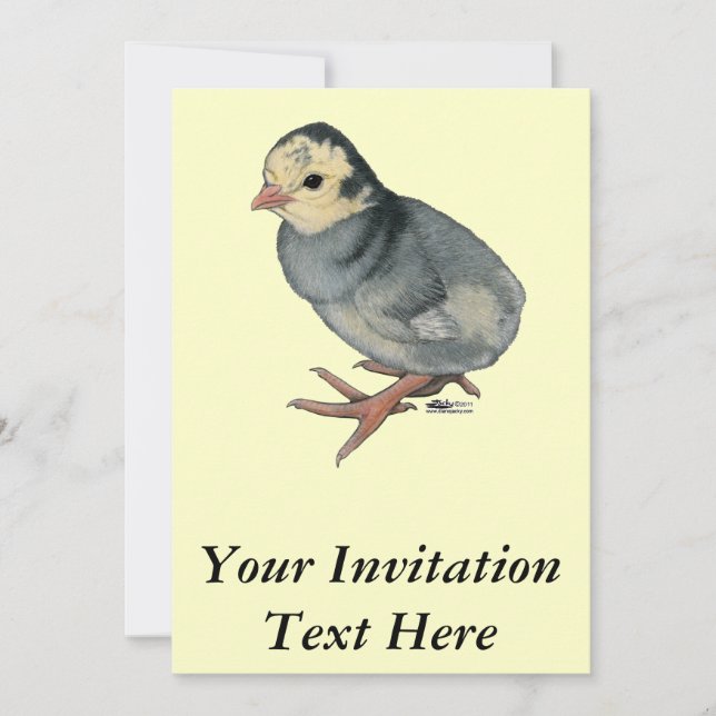 Kalkon Poult Blue Slate Inbjudningar (Framsida)