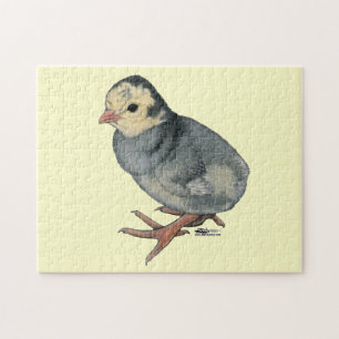 Kalkon Poult Blue Slate Pussel