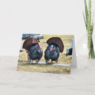 "Kalkoner av samma fjäder" Thanksgiving-kort Kort
