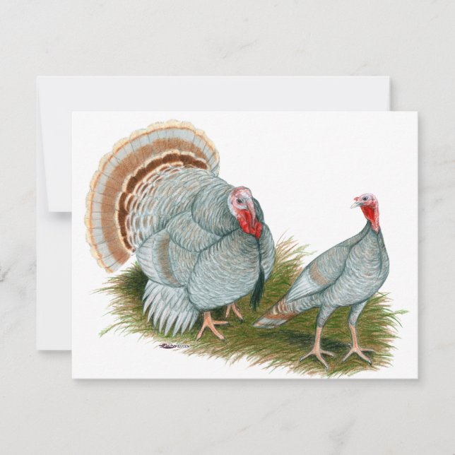 Kalkoner: Lilac (Framsida)