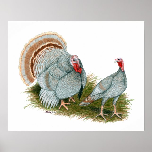 Kalkoner: Lilac Poster (Framsidan)