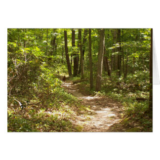 kalkoner på äppalakiska spåret OBS kort