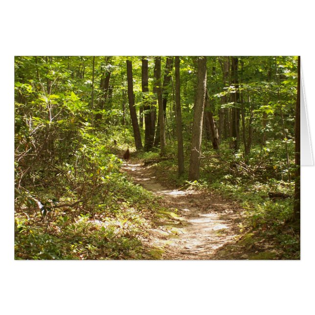 kalkoner på äppalakiska spåret OBS kort (Framsidan Horizontal)