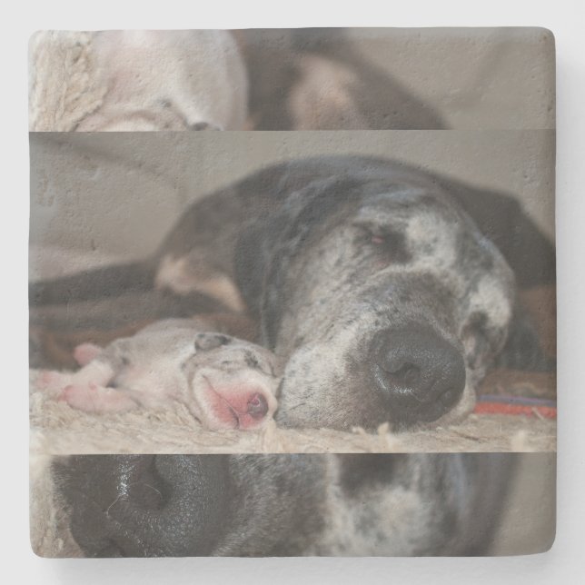 Kalkstensunderlägg Great Dane Fotografi  Stenunderlägg (Framsidan)