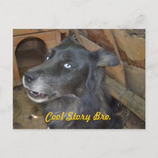 Kall berättelse Bro Vykort