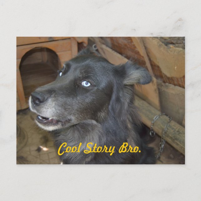 Kall berättelse Bro Vykort (Framsida)