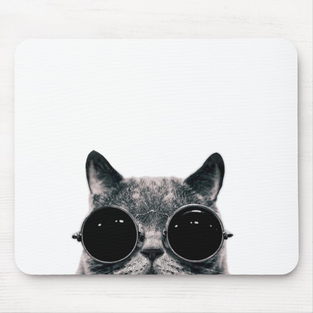 KALL CAT MUSMATTA (Framsidan)