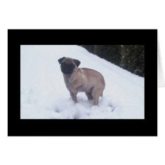 Kall Feet Hälsningskort