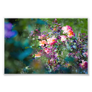 Kall Flowers Fototryck