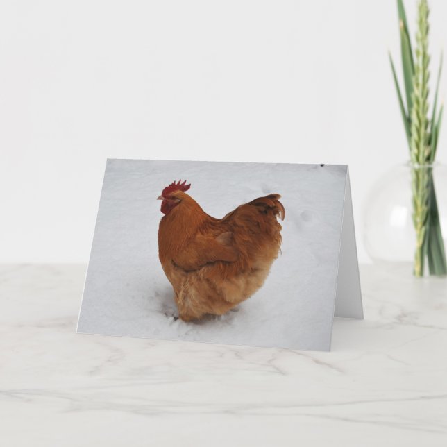 Kall fot kort (Framsida)