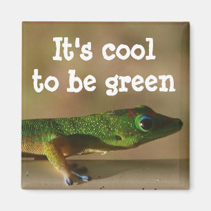 Kall grön Gecko Magnet