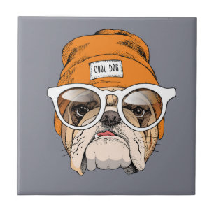 Kall Hipsterbulldogg Kakelplatta
