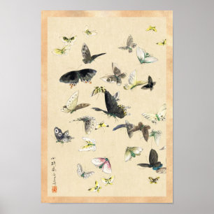 Kall japansk rulla för vintageukiyo-efjäril poster
