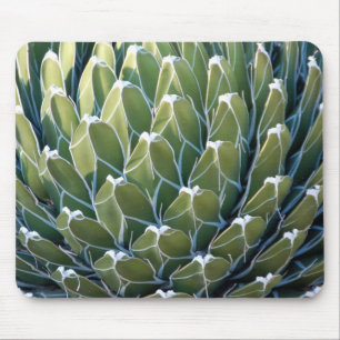 Kall kaktus Mousepad Musmatta