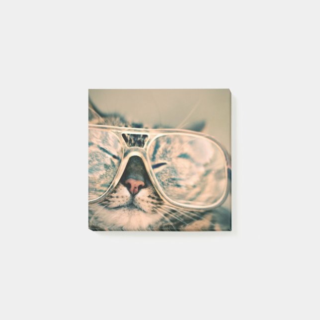 Kall katt i exponeringsglasfototryck post-it block (Framsida)