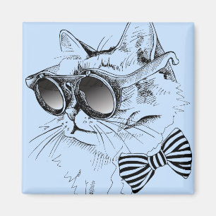 Kall katt magnet