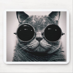 kall katt! musmatta