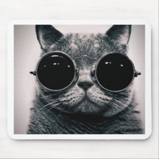 kall katt! musmatta