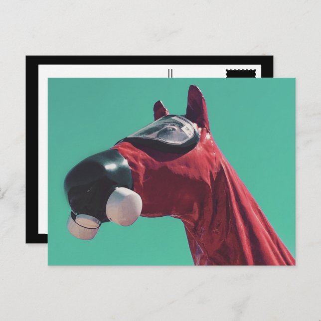 kall krig häst vykort (Fram/baksida)