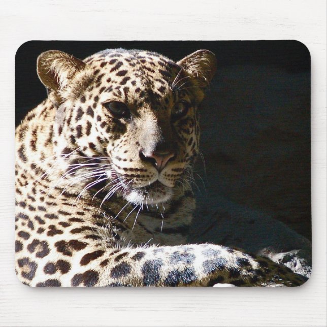 Kall Leopard Mousepad Musmatta (Framsidan)