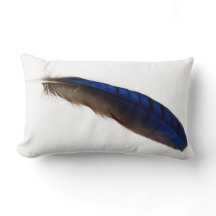 Kall modern blåttfjäder på vit