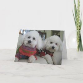 "Kall Nose, Varmhjärtan" - gratulationskort Helgkort