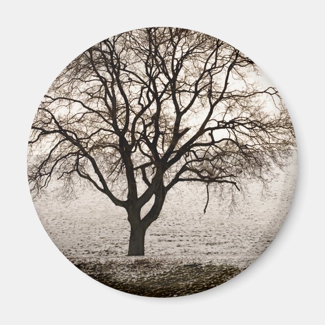 kall och underbart magnet (Framsidan)