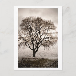 kall och underbart vykort